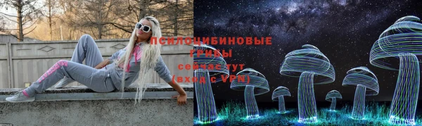 ПСИЛОЦИБИНОВЫЕ ГРИБЫ Белоозёрский